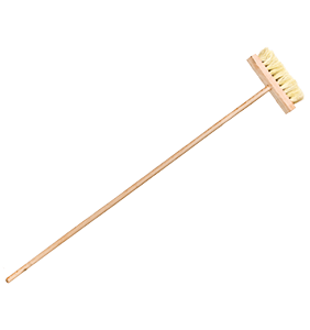 CEPILLO DE IXTLE